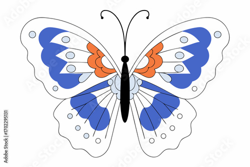 butterfly vector illustration