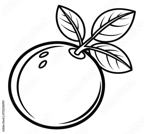 Green and fresh vector apple icon illustration with a leaf, symbolizing a healthy and natural diet