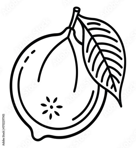 Vector illustration of fresh and healthy ripe fruits including an apple and juicy plums