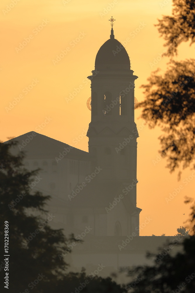 Fototapeta premium alba