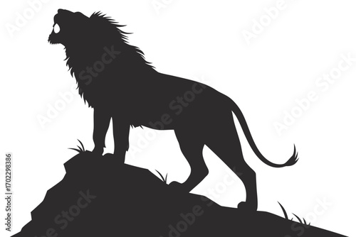 Silhouette of a male lion roaring on a rocky outcrop