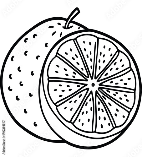 Vector illustration of fresh and healthy citrus fruits like orange, lemon, and grapefruit