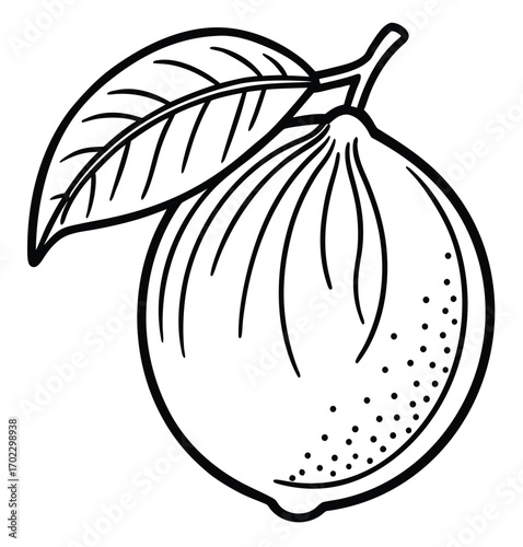 Organic ripe juicy apples, pears, and other fruits and vegetables in a fresh and healthy vector art design