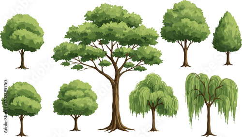 Illustration of nine different green trees, including tall, bushy, and weeping types, arranged on a white background.