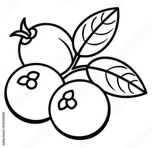 Vector illustration of fresh fruits and berries with apple and pear design