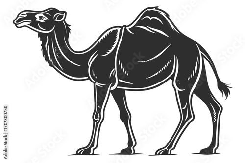 Stylized black and white camel illustration