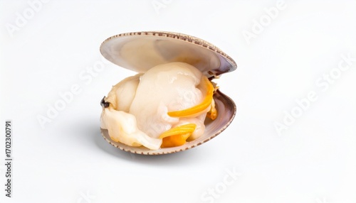Fresh Clam with Meat on White Background