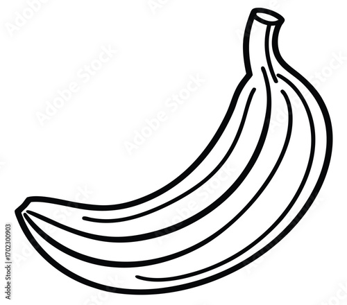 Vector illustration of a fresh ripe yellow banana fruit isolated on white background