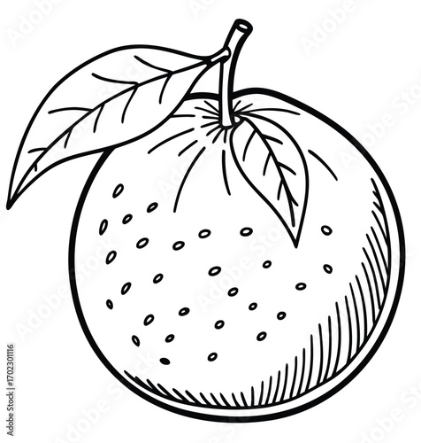 Illustration of a fresh apple fruit with leaf in vector style