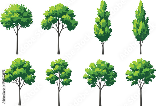 Illustration of various bright green leafy trees arranged in a row, showcasing different shapes and natural forms on white background.