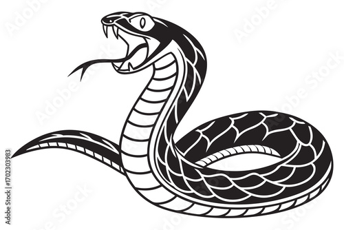 Aggressive black snake with open mouth and forked tongue