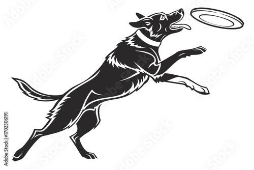 Energetic dog jumping to catch a frisbee in mid air