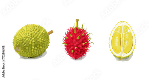 Three Exotic Fruits Durian Dragon Fruit and Gac Fruit.