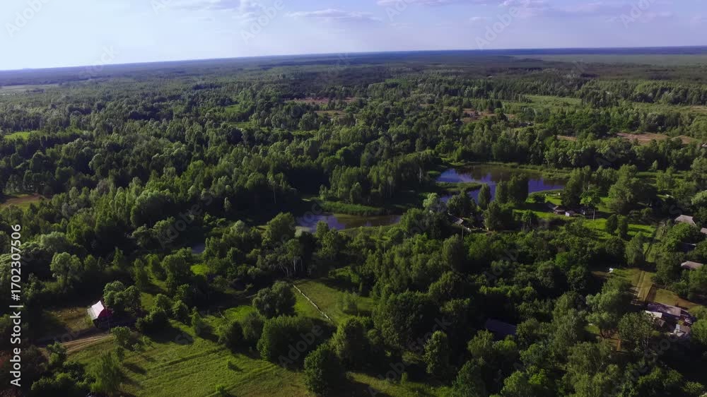 Landscape and geography of the Chernobyl zone: forests, abandoned ...
