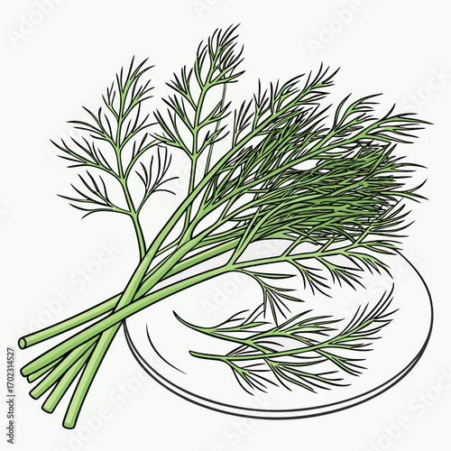 Fresh dill sprigs on a plate, perfect for culinary creations, adding vibrant flavor to dishes