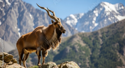 Wild Antelope in the Majestic Mountains – Graceful Animal Roaming High-Altitude Terrain, Surrounded by Rugged Peaks, Natural Habitat, and Scenic Wilderness Perfect for Wildlife and Nature Photography