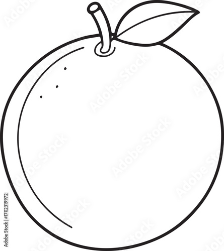 orange fruit outline vector illustration line art