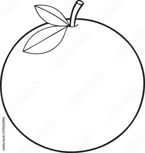 orange fruit outline vector illustration line art