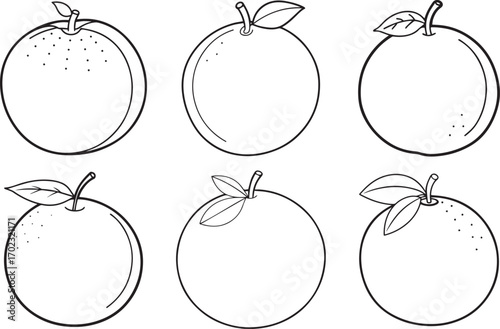 set of orange fruit outline vector illustration line art