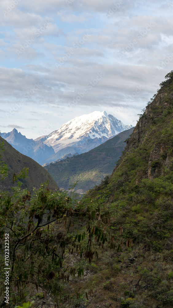 Fototapeta premium Majestic snow capped mountain peak viewed from a lush green valley