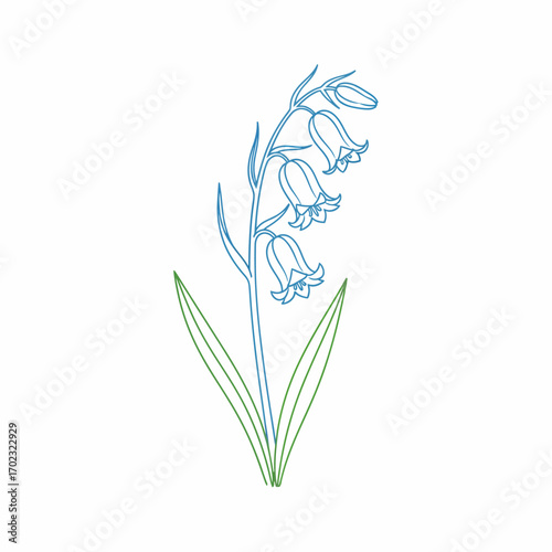 A delicate bluebell flower with green leaves, rendered in a simple line drawing style.