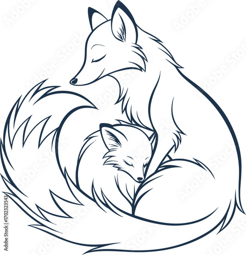 Two sleeping foxes curled together animal animals