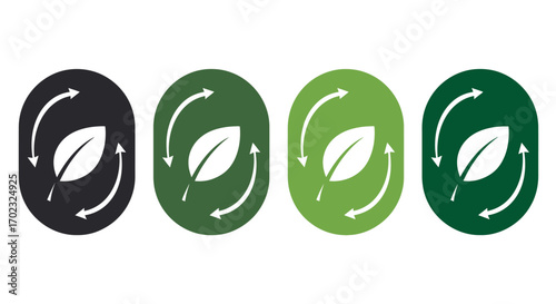 Understanding Environmental Sustainability Principles and Practices for a Greener Future