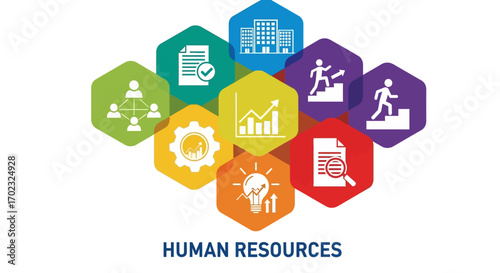 Understanding the Core Concepts and Functions of Human Resources Management in Modern Organizations