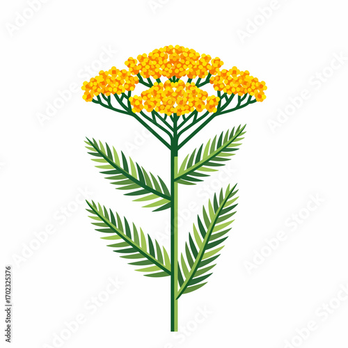A stylized illustration of a bright yellow yarrow flower with green fern-like leaves on a white background.