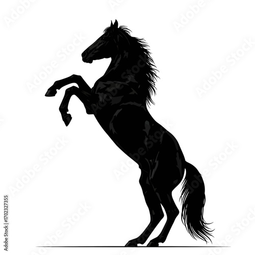 Black horse rearing up silhouette isolated on white background