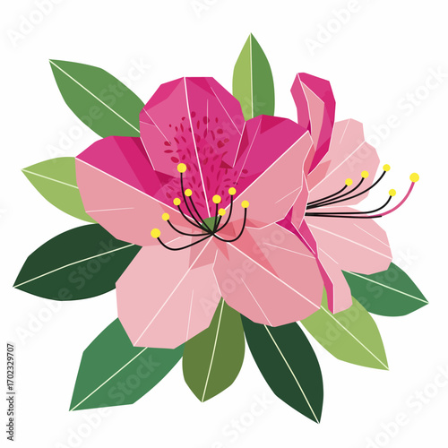 A vibrant illustration of two pink azalea flowers with green leaves, rendered in a geometric, low-poly style.
