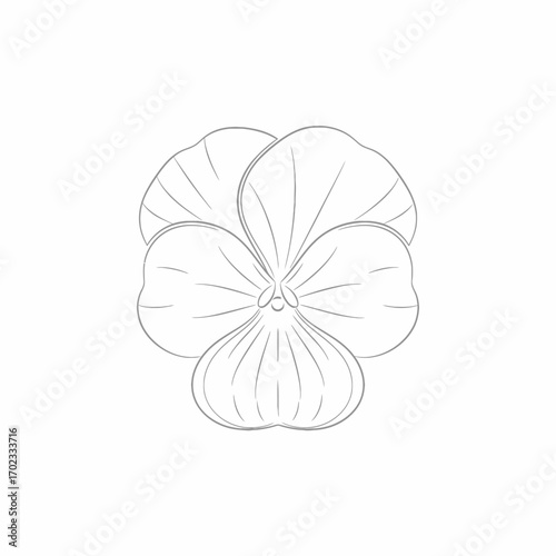 A simple black and white line drawing of a pansy flower with five petals, suitable for coloring or as a botanical illustration.