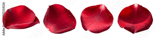 Set For Four red rose petals isolated on transparent background are shown