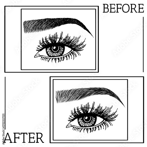 Illustration with woman's eyes, eyelashes and eyebrows. Makeup Look. Tattoo design. Logo for brow bar or lash salon. Before and after coloring care. Set of well-groomed and shaggy eyebrows.