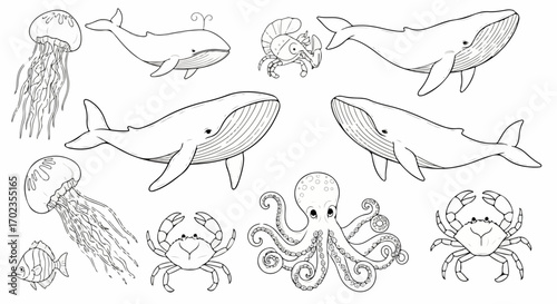 Marine Animals Outline Illustration, Suitable for Coloring Books, Educational Resources, and Underwater Theme Projects, Promoting Creativity and Learning