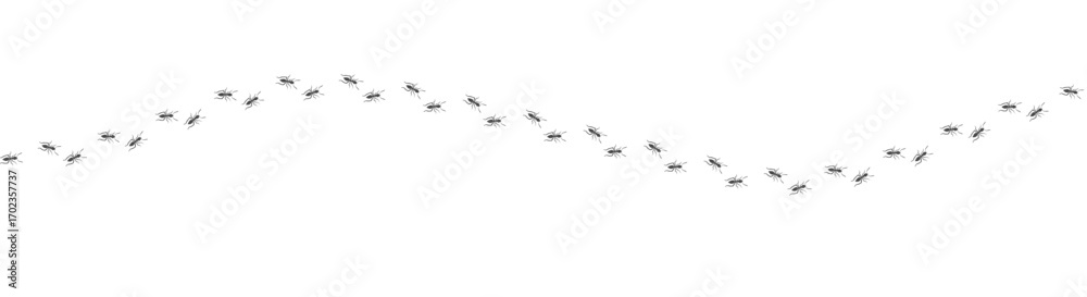 Obraz premium Ant trail. Walking group of black insects. Line of worker ants marching in search of food. Curve footpath of home pest isolated on transparent background. Vector