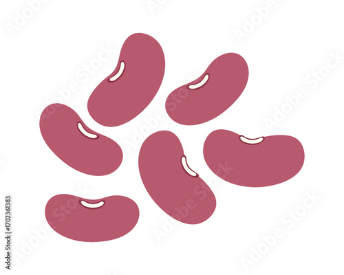 Red kidney bean isolated on a white background. stock illustration