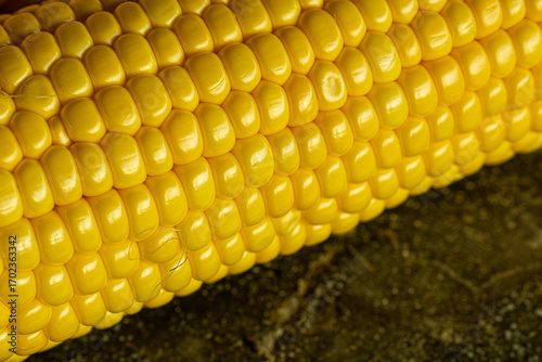 Close up macro shots of golden colored corn