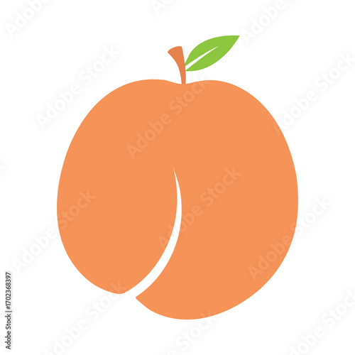 Peach Fruit Drawing Vector – Juicy Organic Food Illustration