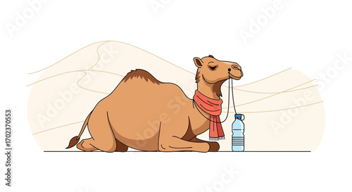 Desert Camel In A Peaceful Pose Waiting For Water In The Arid Afternoon Sunshine