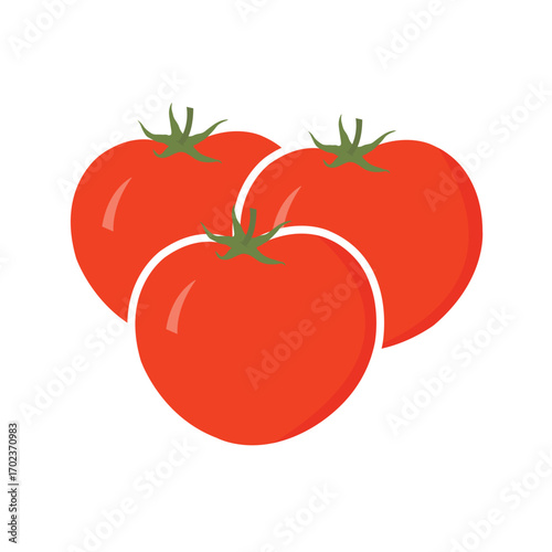Three Red Ripe Tomatoes Vector – Fresh Organic Vegetable Illustration