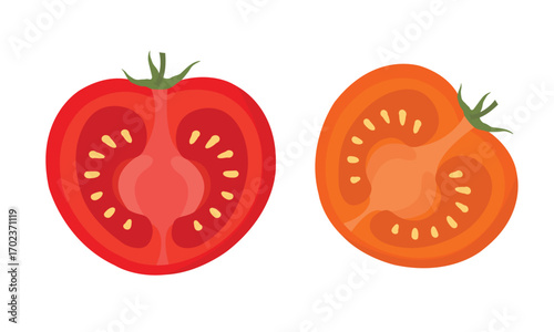 Ripe Tomato Half-Cut Vector – Fresh Red Tomato Illustration for Culinary and Healthy Food Design