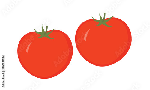 Ripe Red Tomato Vector – Whole Fresh Vegetable Illustration