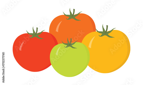 Bunch of Red, Yellow, and Green Tomatoes Vector – Fresh Colourful Vegetable Illustration