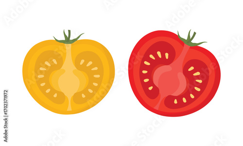Half Yellow and Red Tomatoes Vector – Fresh Sliced Tomato Illustration for Healthy Food Design