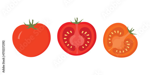 Ripe Tomato Vector – Whole and Sliced Half Fresh Red Vegetable Illustration
