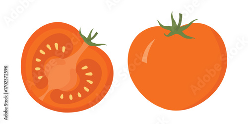 Ripe Red Tomatoes Vector – Whole and Sliced Half Illustration for Fresh Vegetable Design