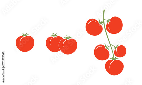 Red Tomatoes Isolated and on a Branch – Fresh Organic Vegetable Vector Illustration
