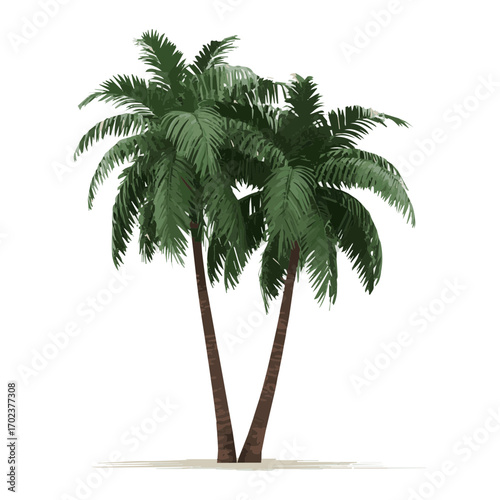 Two green palm trees with tall brown trunks and lush fronds isolated on a
