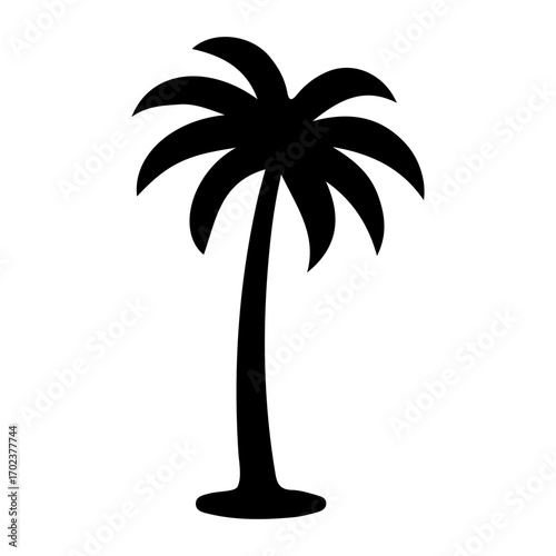 Silhouette of a palm tree